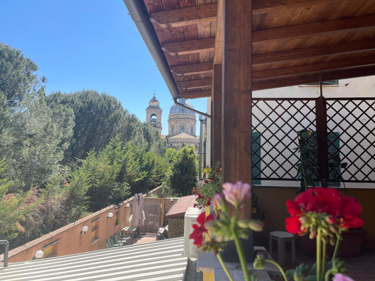 La Terrazza Dei Ciliegi Casa de hóspedes Santa Maria Degli Angeli (Assisi)