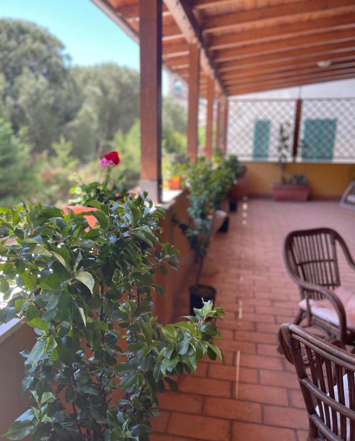 La Terrazza Dei Ciliegi Casa de hóspedes *
