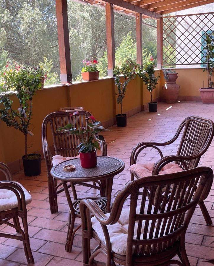 Casa de hóspedes La Terrazza Dei Ciliegi *