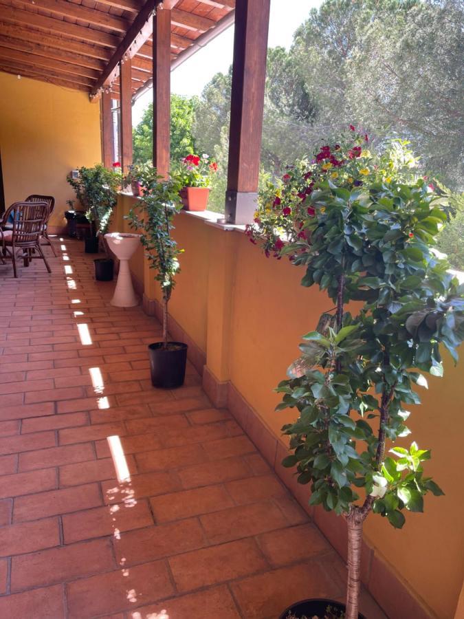La Terrazza Dei Ciliegi * Santa Maria Degli Angeli (Assisi)