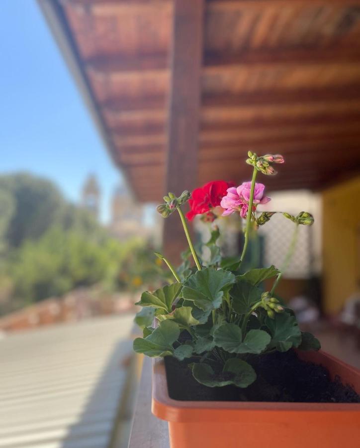 La Terrazza Dei Ciliegi Santa Maria Degli Angeli (Assisi)